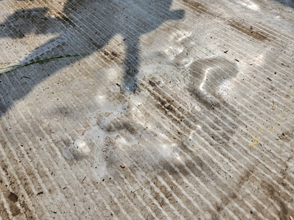 2000769928_5VbpfQih_636d3d800887e04bb641a59f3158806e041e4d78.jpg 이미지크게보기